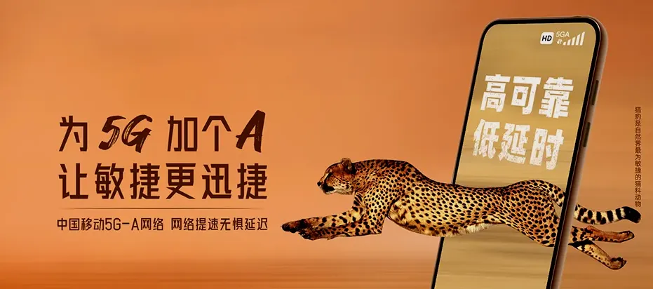 贞丰贞丰县沙坪镇 移动宽带